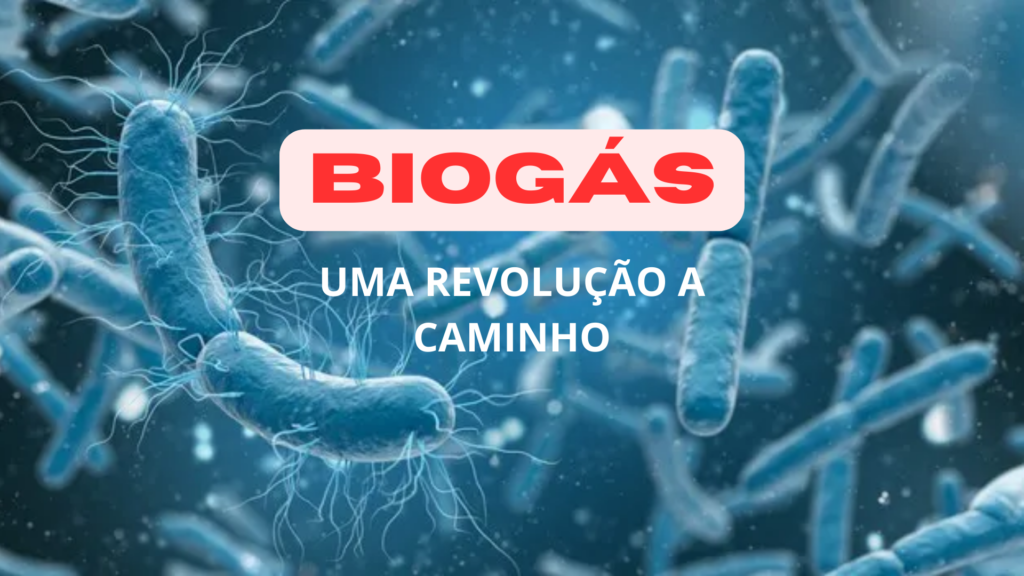 O potencial do biogás